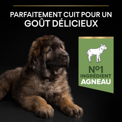 PRO PLAN Sensitive Digestion Large Robust Puppy à la Agneau- Croquettes pour chien