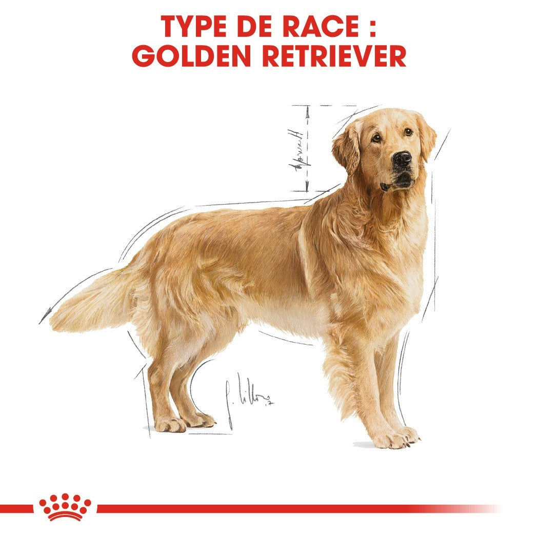 Royal Canin Golden Retriever Adult - Croquettes pour chien