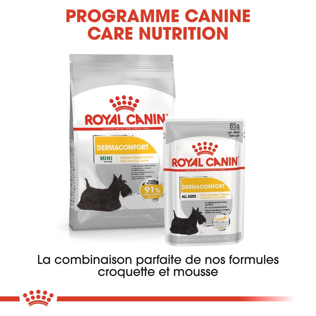 Royal Canin Mini Dermaconfort - Croquettes pour chien