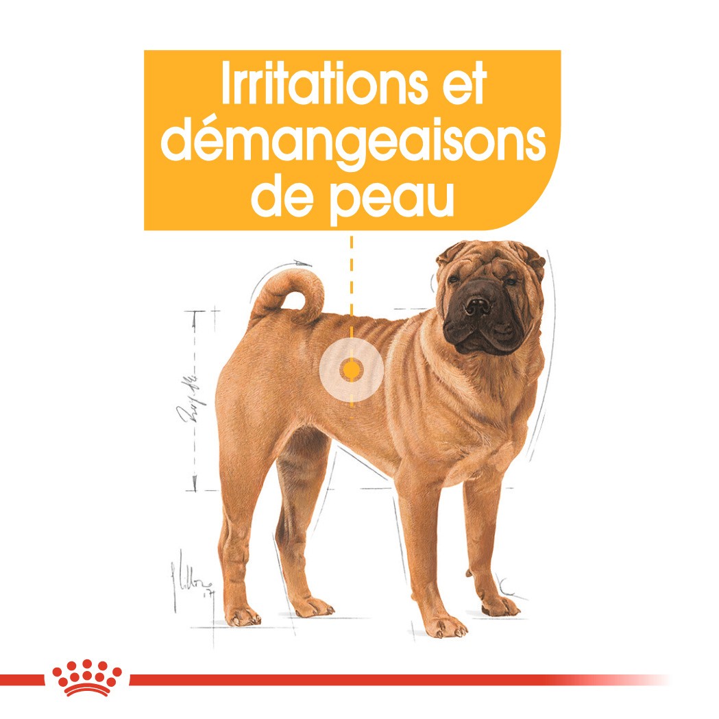 Royal Canin Medium Dermaconfort