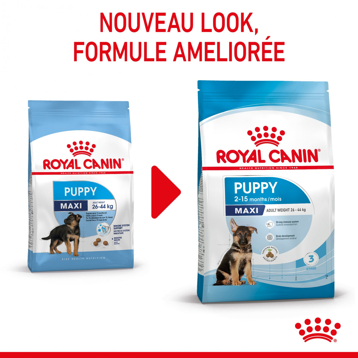 Royal Canin Maxi Puppy - Croquettes pour chiot