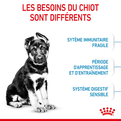 Royal Canin Maxi Puppy - Croquettes pour chiot