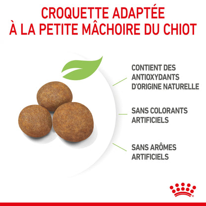 Royal Canin Maxi Puppy - Croquettes pour chiot