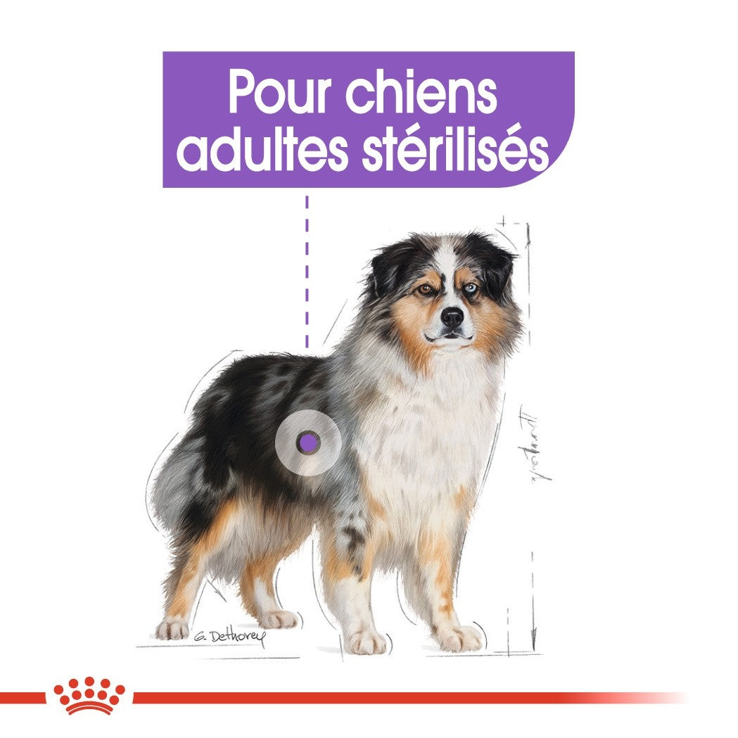 Royal Canin Medium Sterilised - Croquettes pour chien