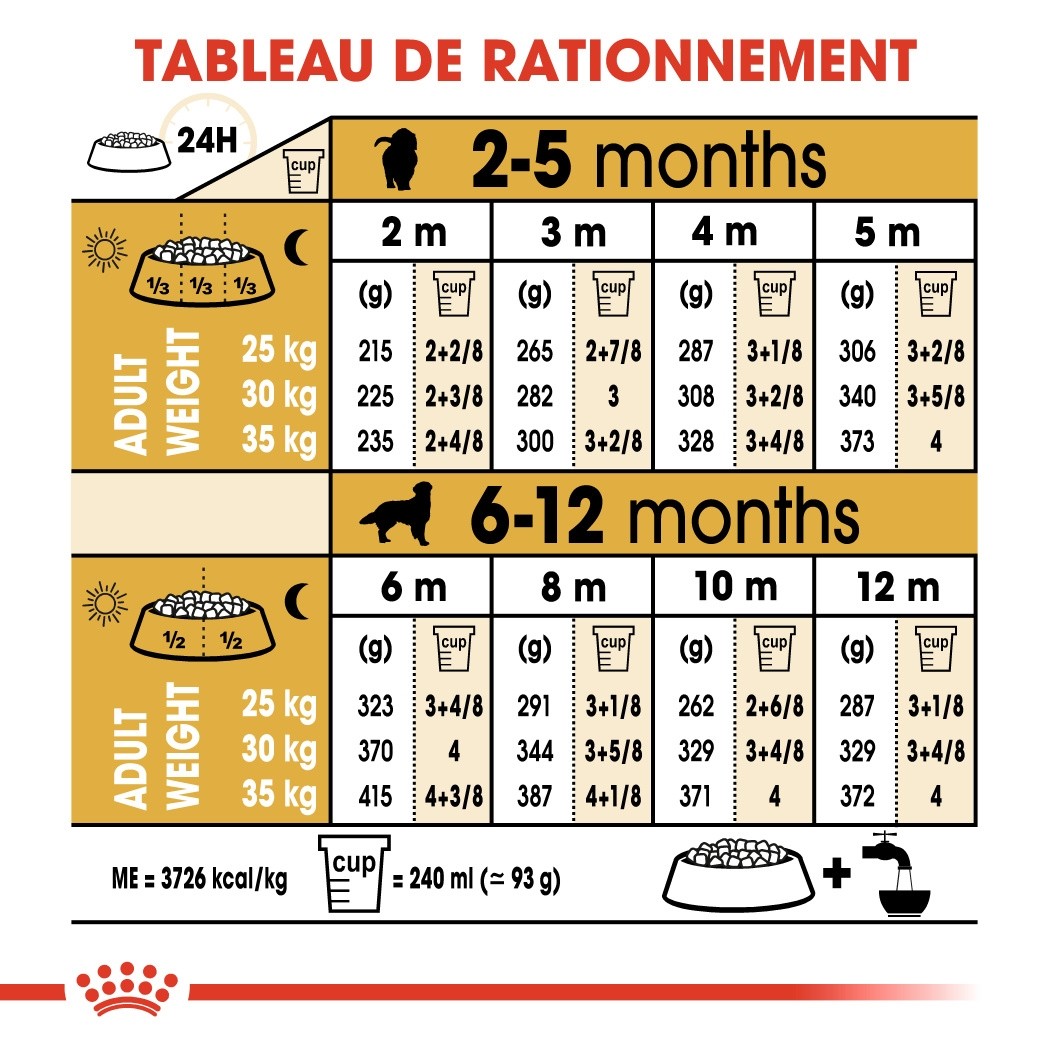 Royal Canin Golden Retriever Puppy - Croquettes pour chiot