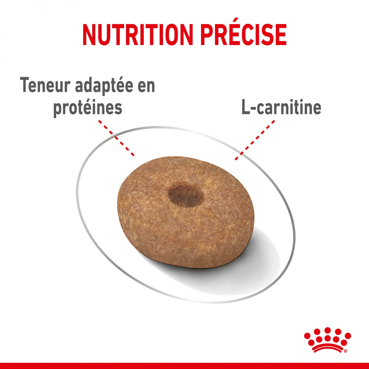 Royal Canin Mini Light Weight Care - Croquettes pour chien