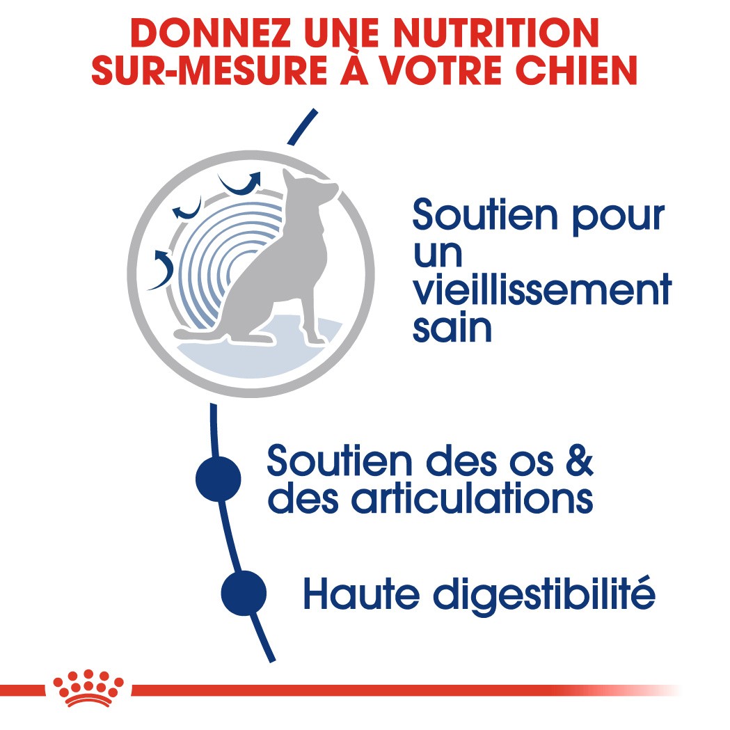 Royal Canin Maxi Ageing 8+ - Croquettes pour chien