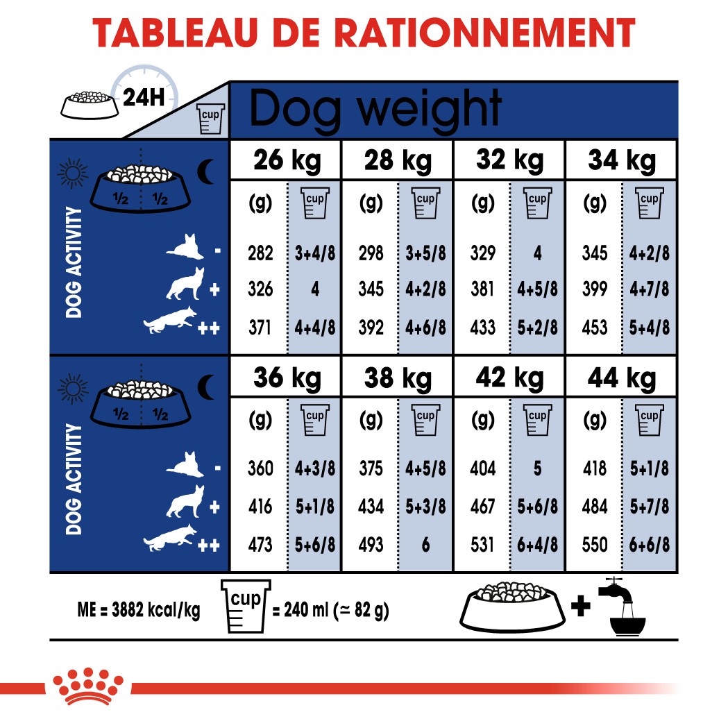 Royal Canin Maxi Ageing 8+ - Croquettes pour chien