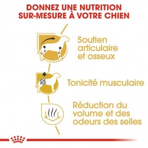 Royal Canin Teckel Adult (Dachshund) - Croquettes pour chien