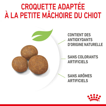 Royal Canin Giant Puppy - Croquettes pour chiot