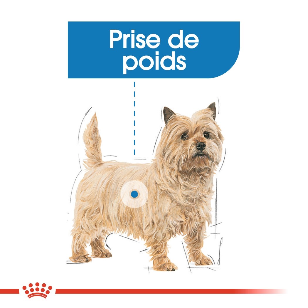 Royal Canin Light Weight Care en mousse - pâtée chien