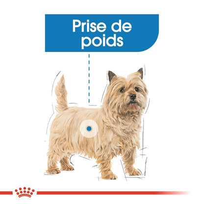 Royal Canin Light Weight Care en mousse - pâtée chien