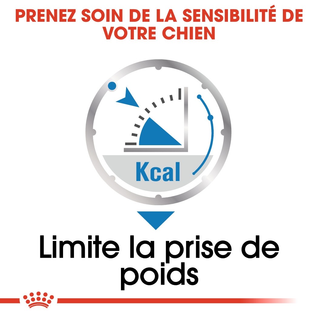 Royal Canin Light Weight Care en mousse - pâtée chien