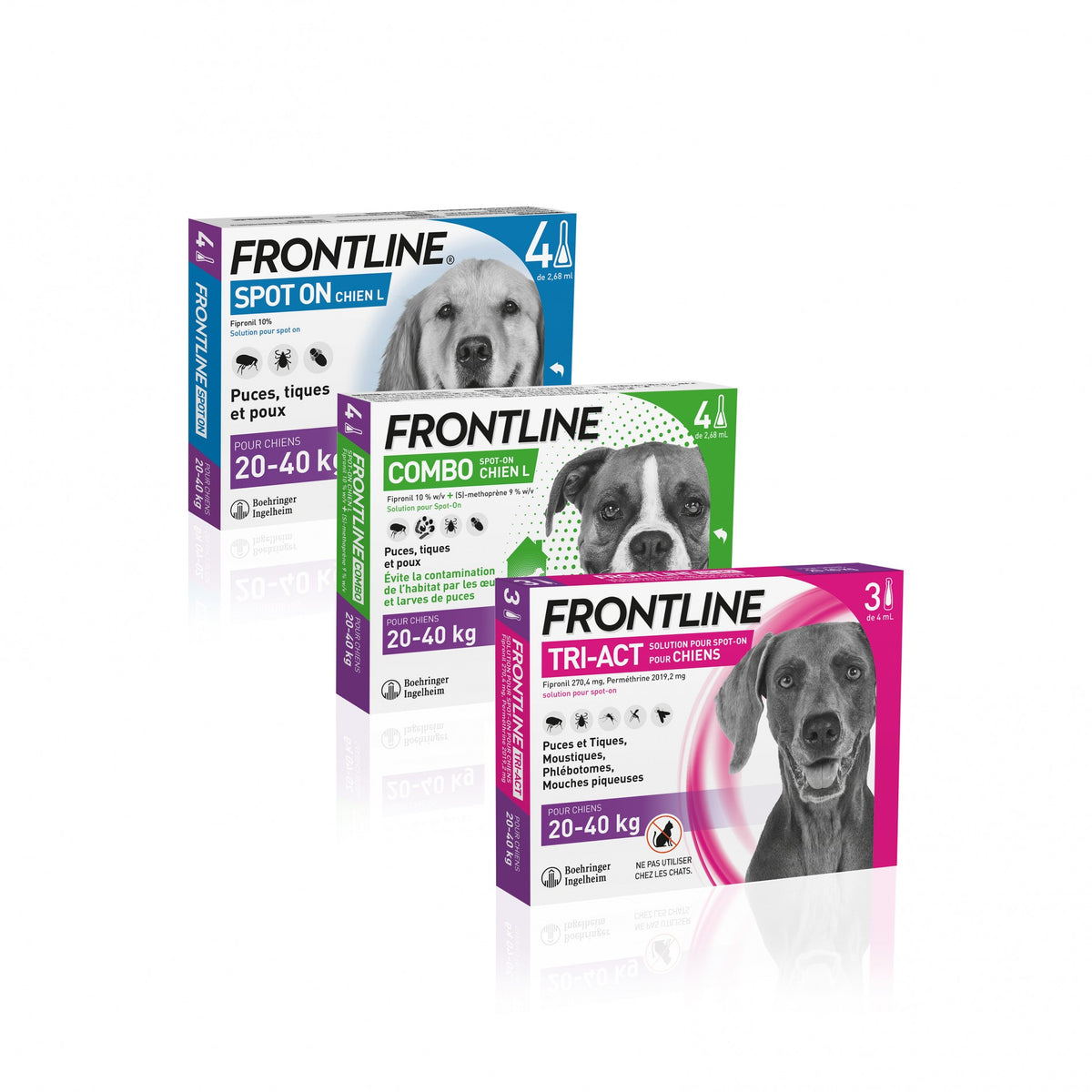 Pipettes Frontline Spot-On chien