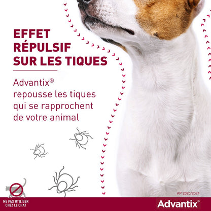 Pipettes Advantix chien