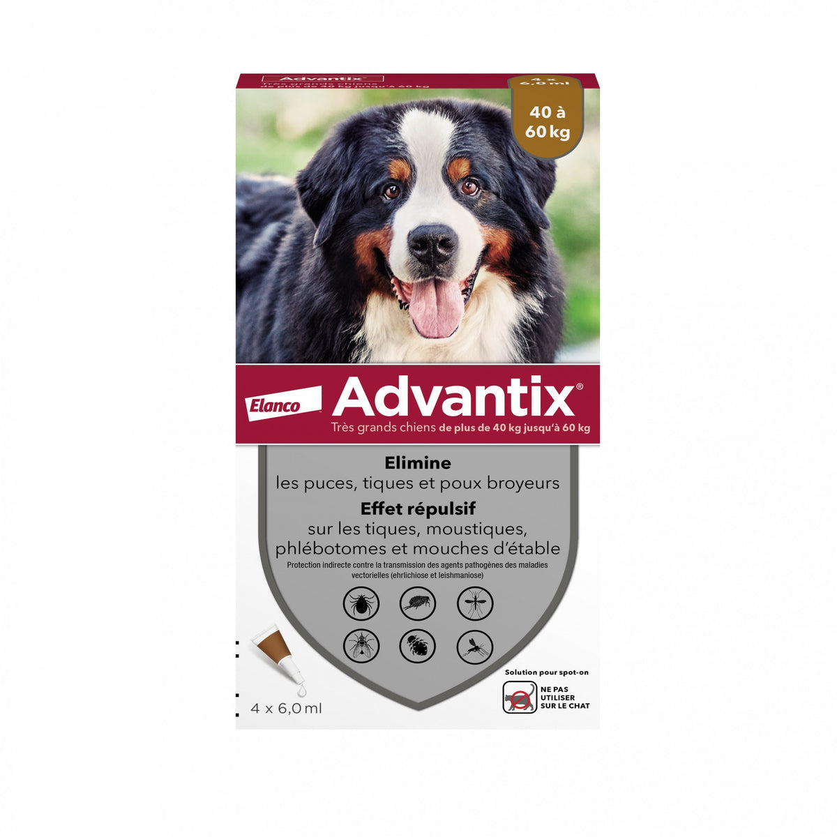 Pipettes Advantix chien