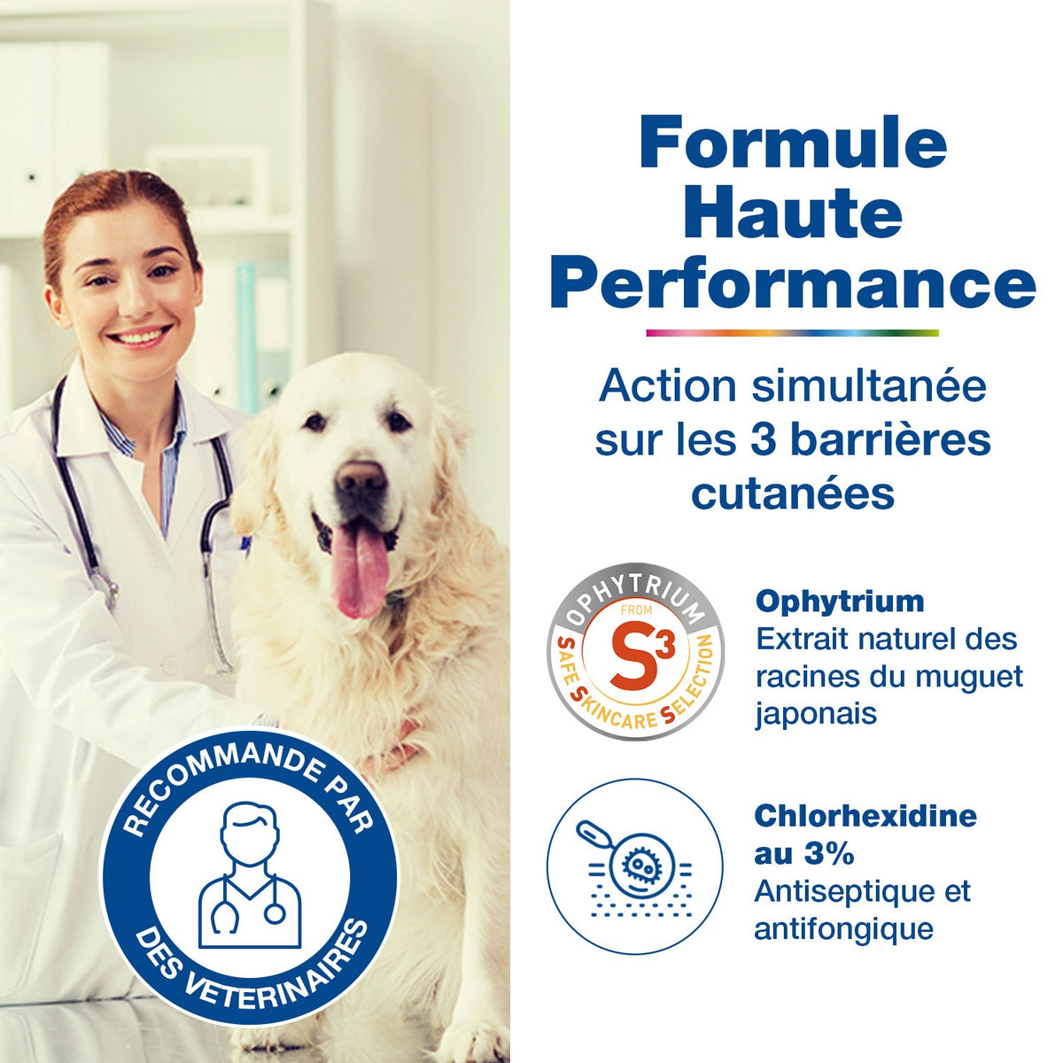 Douxo S3 Pyo shampooing chien, chat
