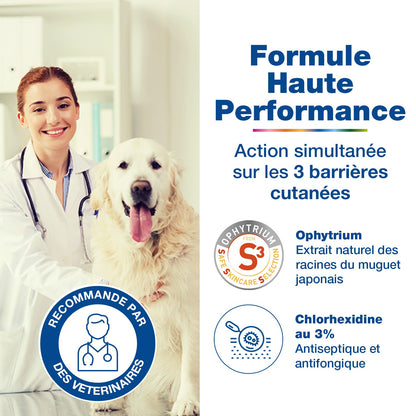 Douxo S3 Pyo shampooing chien, chat