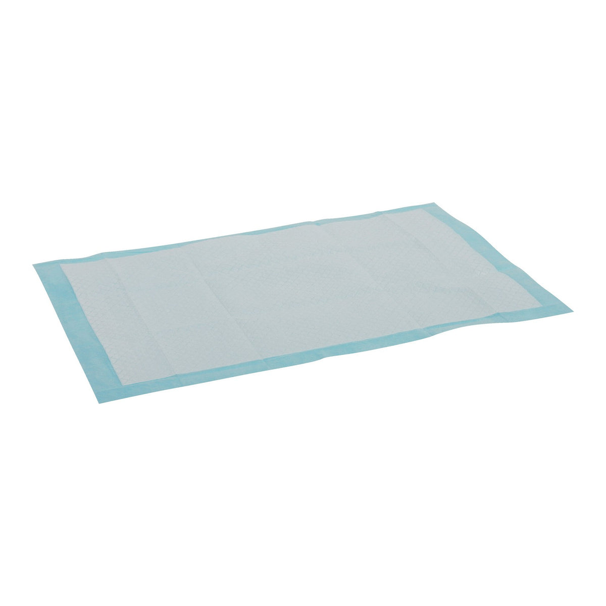 Tapis d’éducation chiot