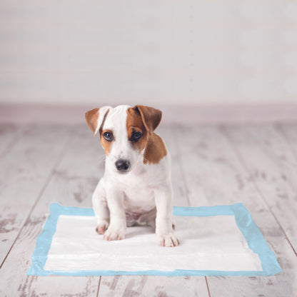 Tapis d’éducation chiot