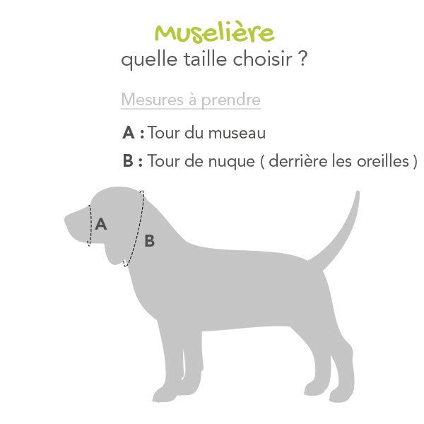 Muselière de dressage rembourrée chien