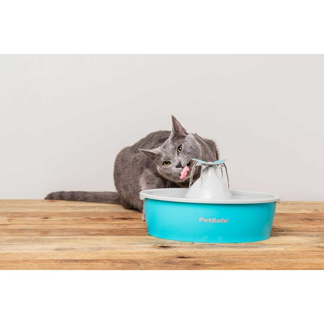 Fontaine Drinkwell Butterfly 1,5L chat, petit chien