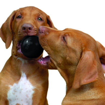Balle Kong Extreme ultra-résistante chien