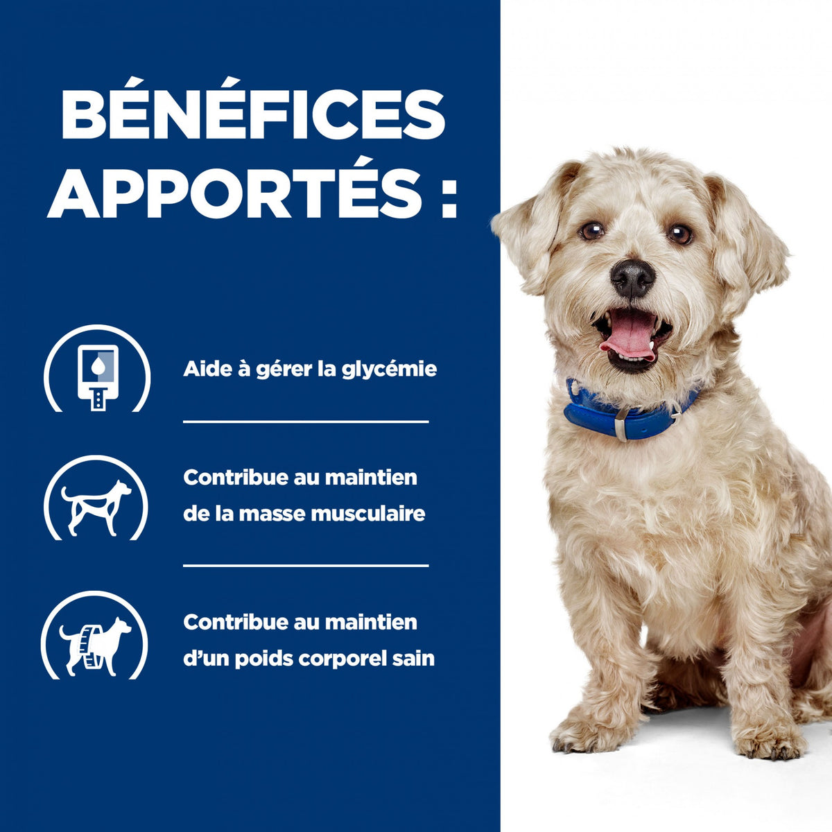 HILL’S Prescription Diet w/d Diabetes Care en Boîtes au Poulet – Pâtée pour chien
