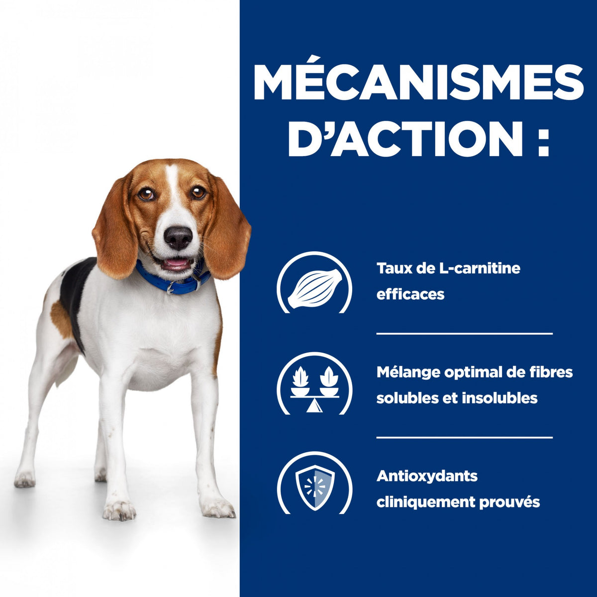 HILL’S Prescription Diet r/d Weight Loss en Boîtes – Pâtée pour chien