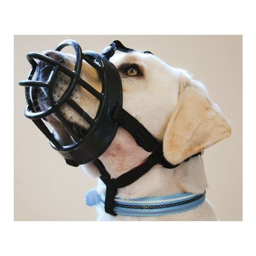 Muselière Baskerville Ultra chien