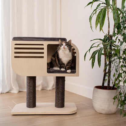 Arbre à chat Atlas