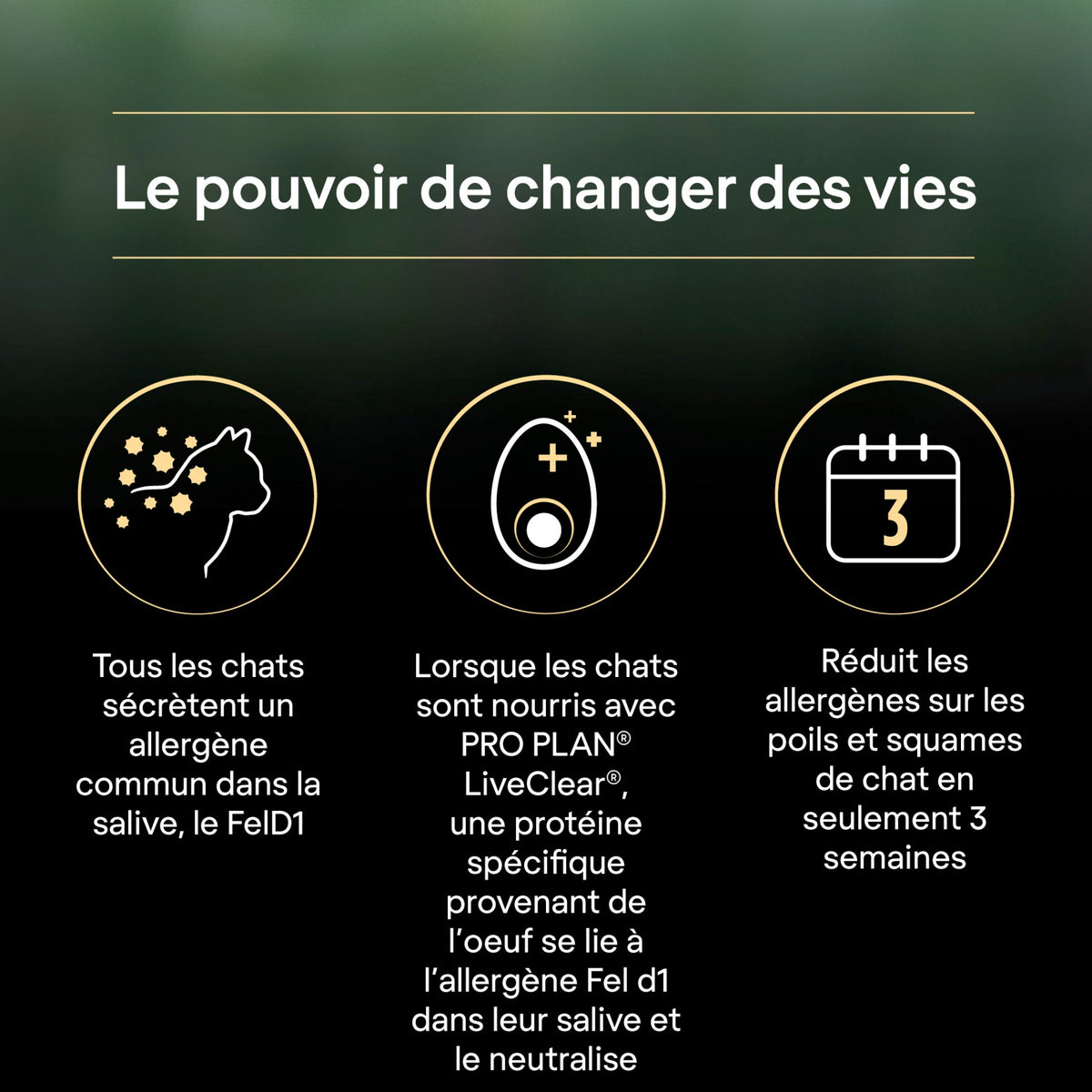 PRO PLAN LiveClear Sterilised Adult à la Dinde - Croquettes pour chat