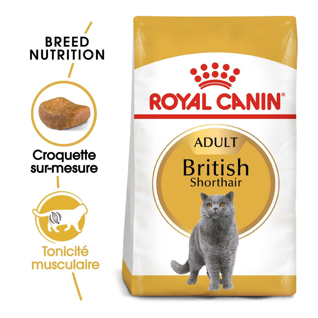 Royal Canin British Shorthair Adult - croquettes chat