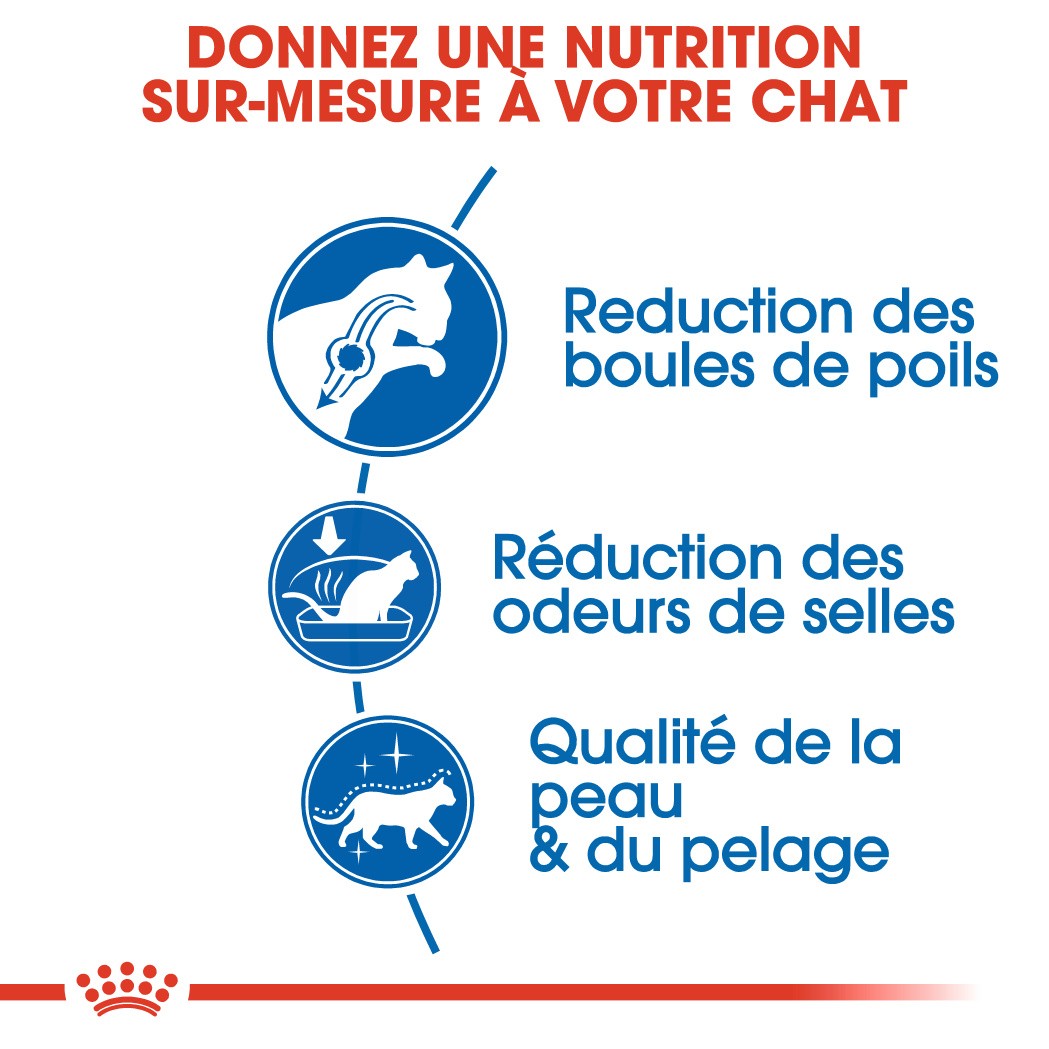 Royal Canin Indoor Long Hair - croquettes chat