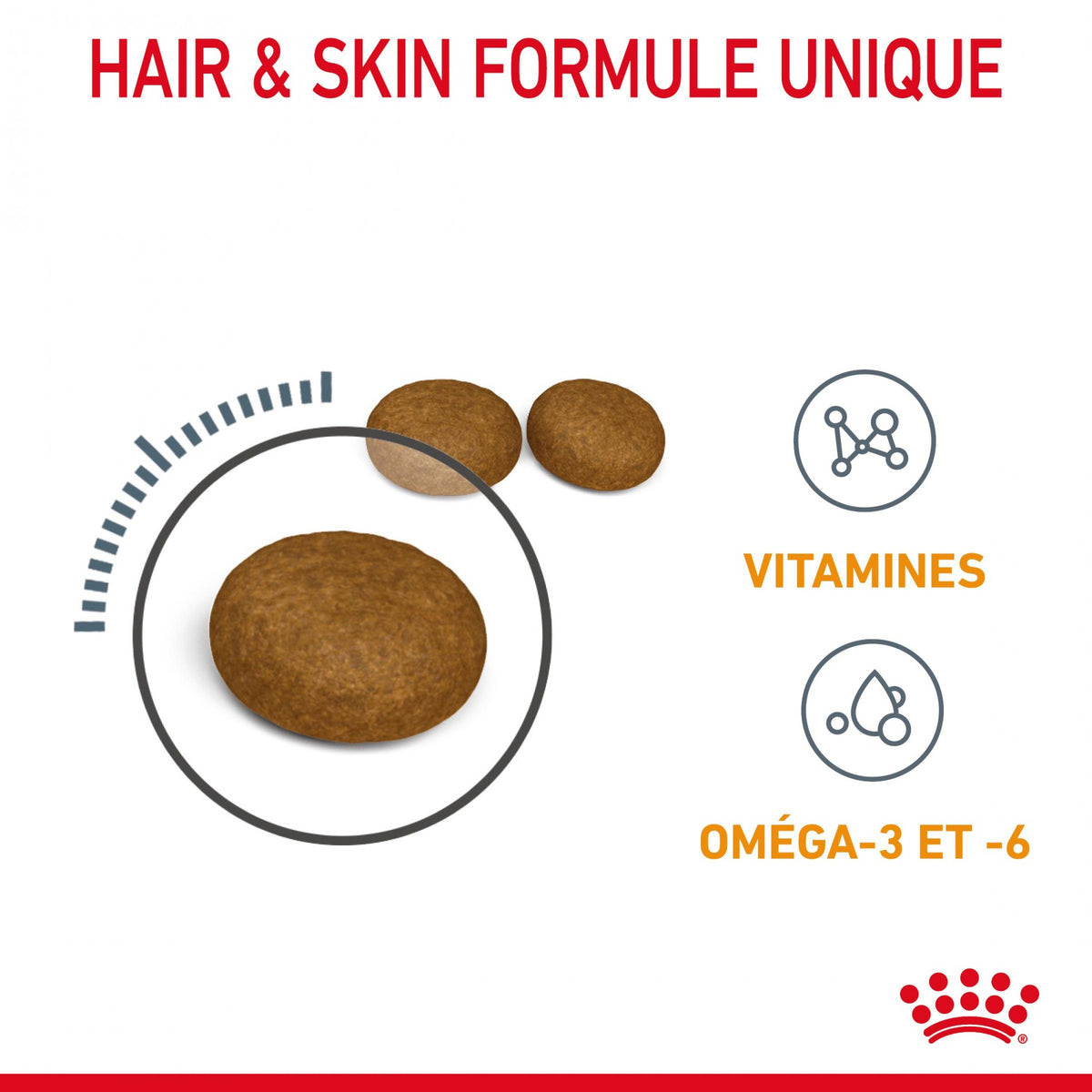 Royal Canin Hair &amp; Skin Care - croquettes chat