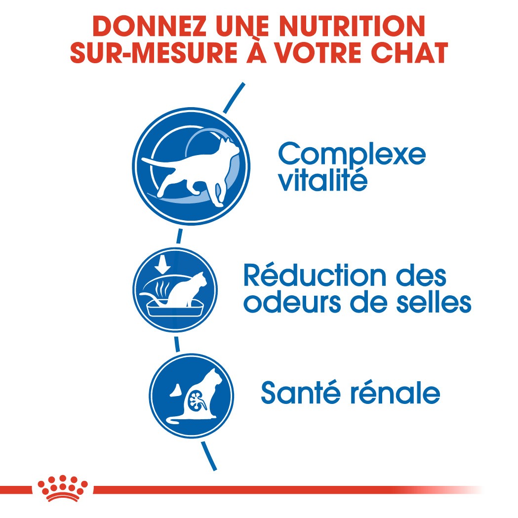 Royal Canin Indoor 7+ - croquettes chat