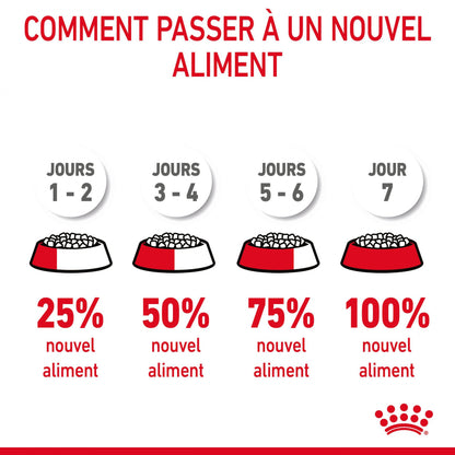 Royal Canin Appetite Control Care - croquettes chat