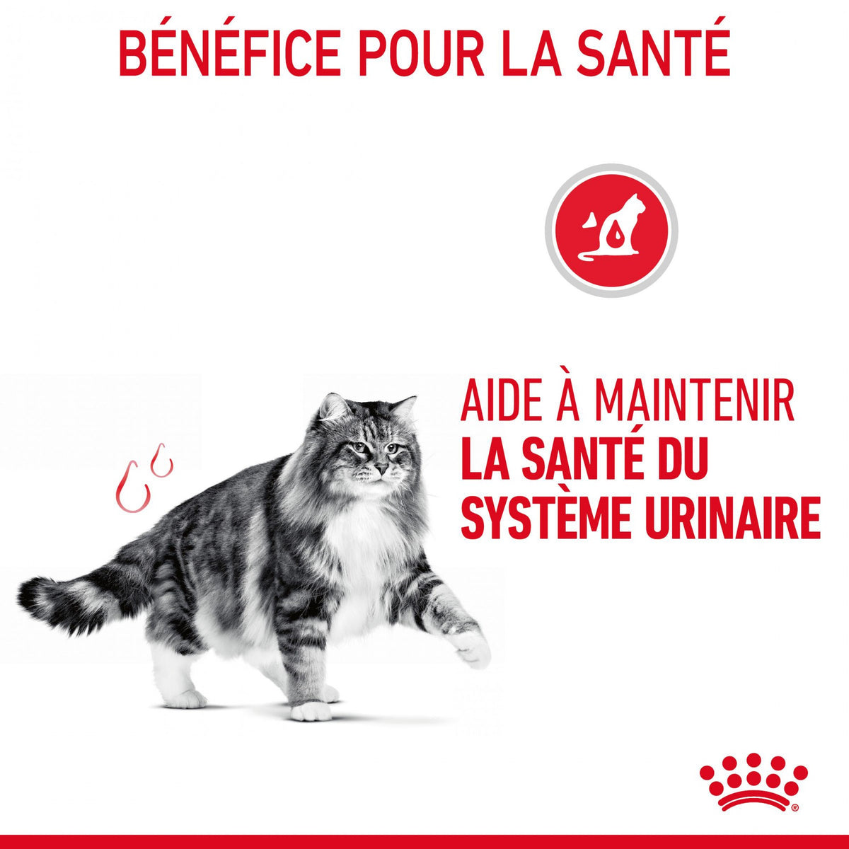 Royal Canin Urinary Care - croquettes chat