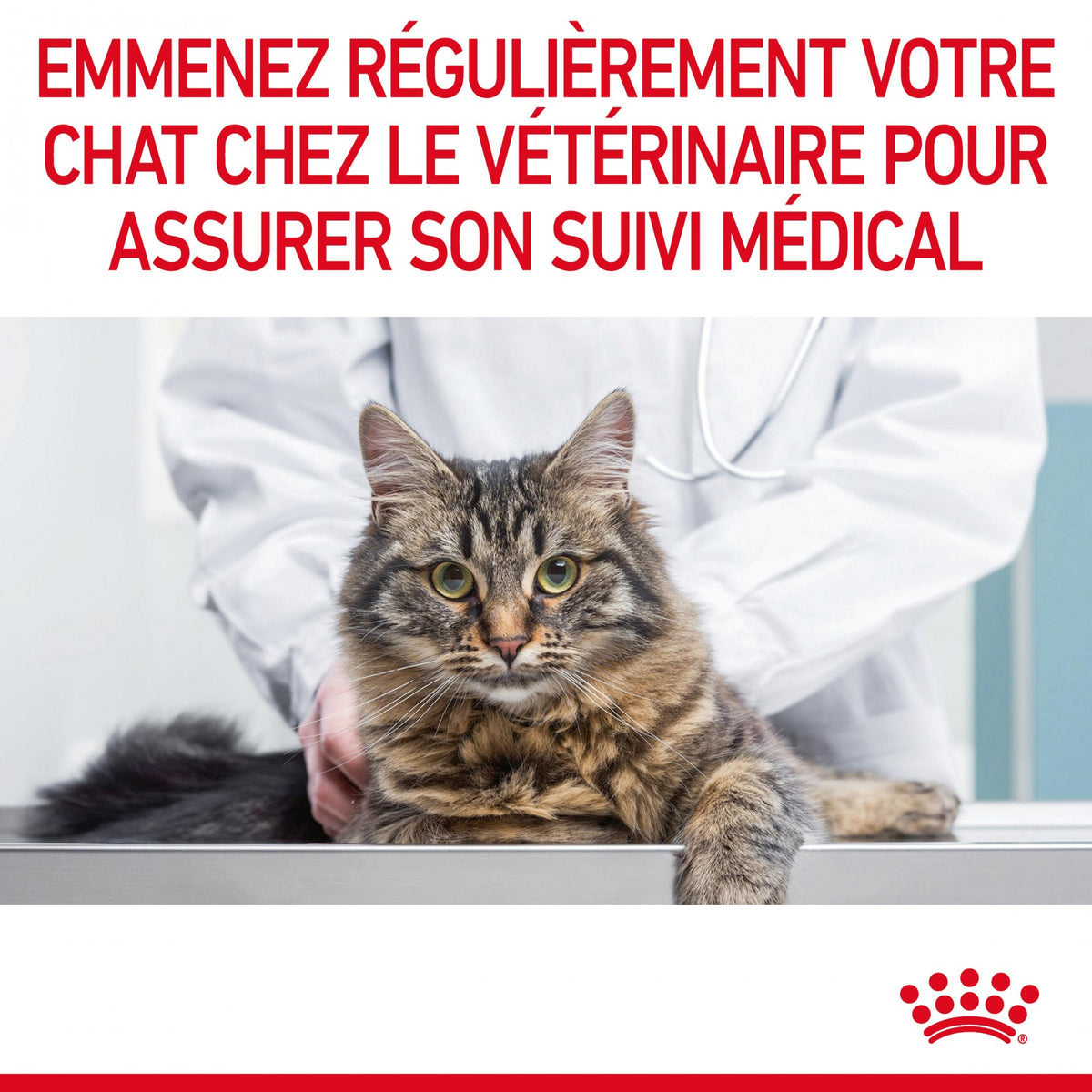 Royal Canin Urinary Care - croquettes chat