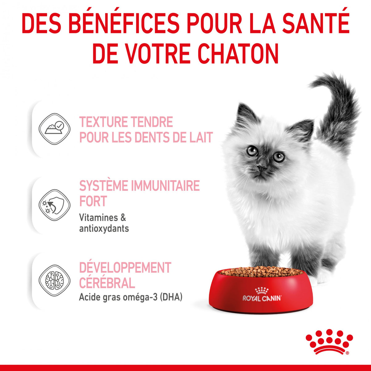 Royal Canin Kitten sauce - pâtée chaton
