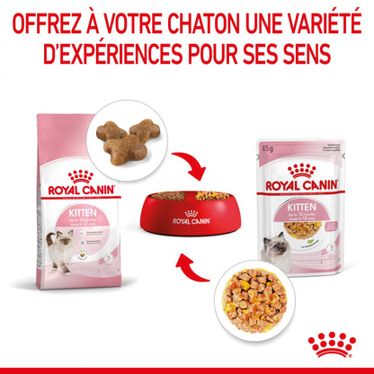 Royal Canin Kitten en gelée - pâtée chaton