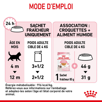 Royal Canin Kitten en gelée - pâtée chaton