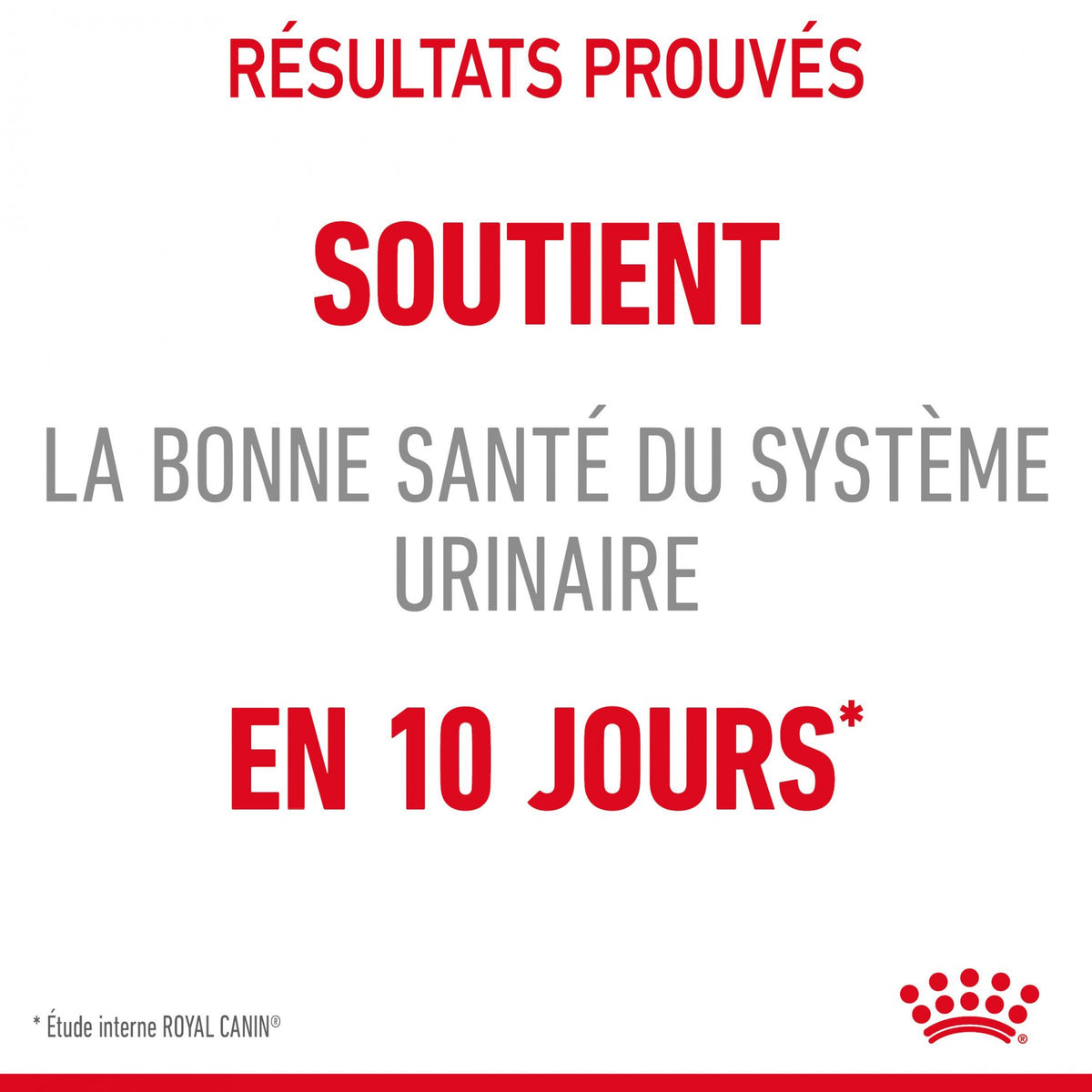 Royal canin Urinary Care en sauce - pâtée chat