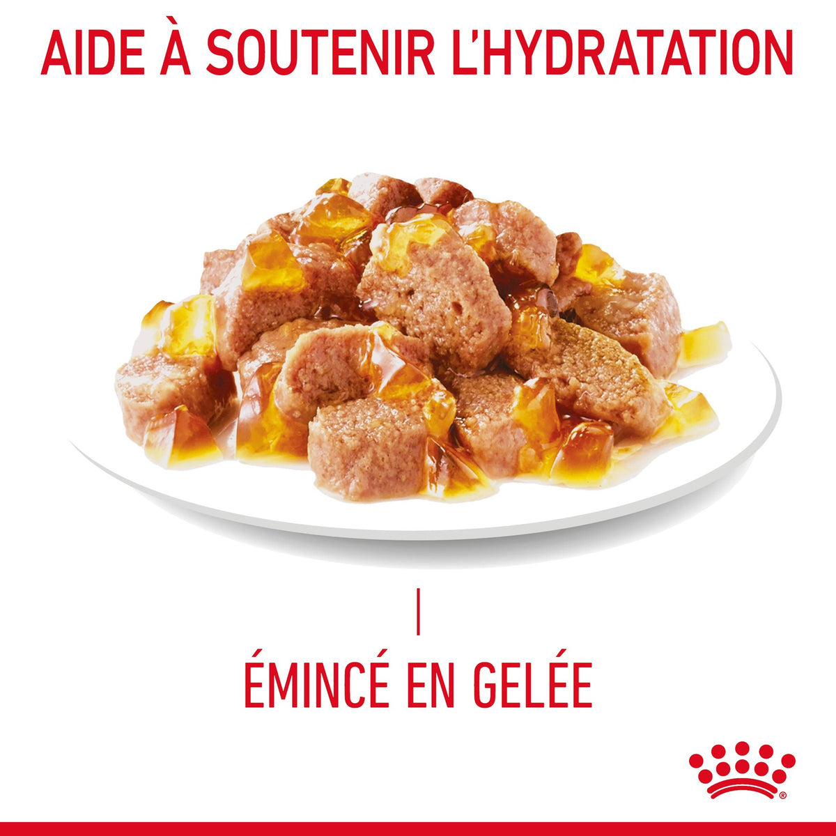 Royal Canin Urinary Care en gelée – pâtée chat