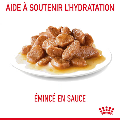 Royal Canin Hairball Care - pâtée chat