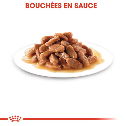 Royal Canin Kitten en mousse - pâtée chaton