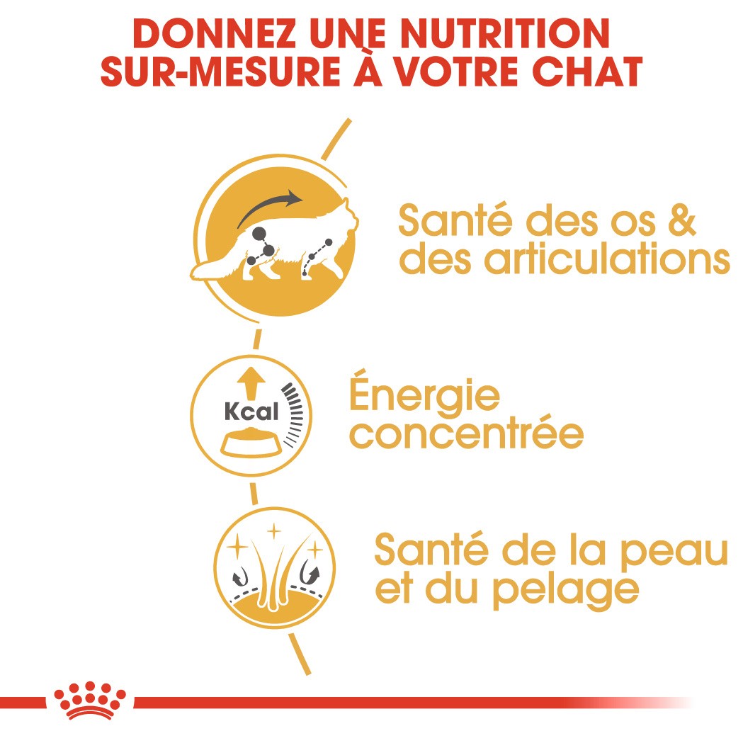 Royal Canin Maine Coon Adult - pâtée chat