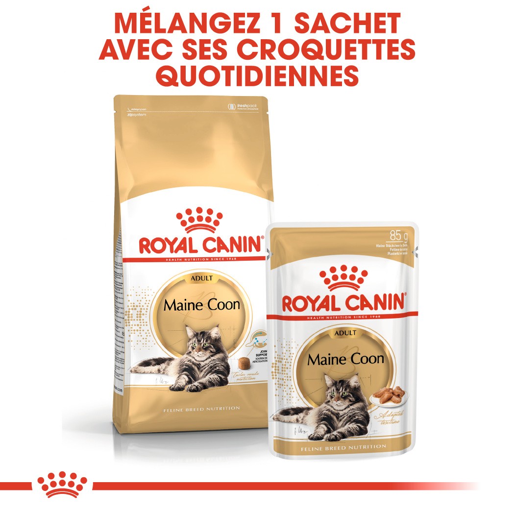 Royal Canin Maine Coon Adult - pâtée chat