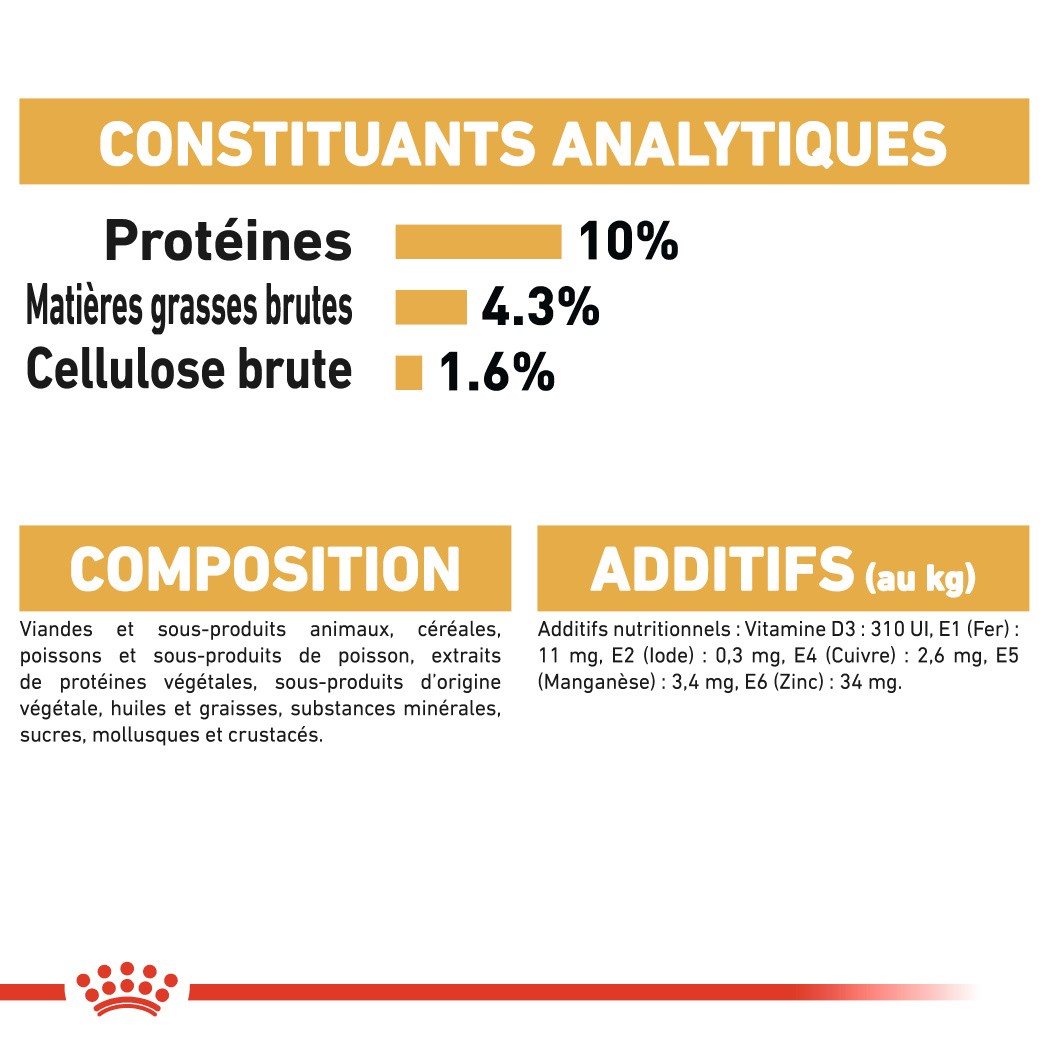 Royal Canin Maine Coon Adult - pâtée chat