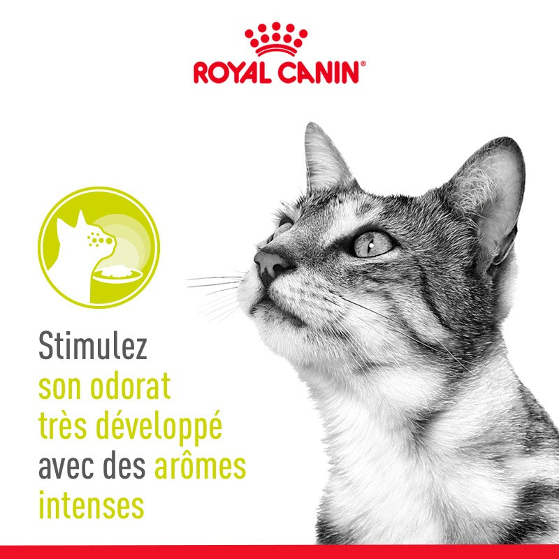 Royal Canin Sensory Smell